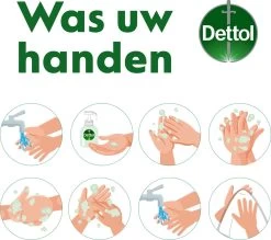 Dettol - Handzeep - Verzachtend – Aloe Vera - 250ml X12 -Manicure En Pedicure 1200x1064 3