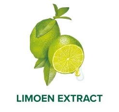 Palmolive® Palmolive Hygiene Plus Kitchen Antibacteriële Handzeep 6 X 300ml -Manicure En Pedicure 1200x1129 2