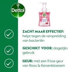 Dettol - Handzeep - Zachte Mousse - Antibacterieel - Roos & Kersenbloesem - 6 X 250 Ml 14 Dettol - Handzeep - Zachte Mousse - Antibacterieel - Roos & Kersenbloesem - 6 X 250 Ml -Manicure En Pedicure 1200x1200 295