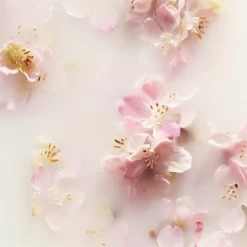 RITUALS The Ritual Of Sakura Recovery Hand Balm - 70 Ml -Manicure En Pedicure 1200x1200 299