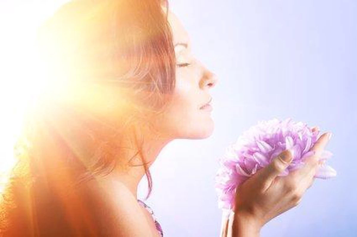 PEDICARE ONS TOPPRODUCT TEGEN ZWEETVOETEN En Eeltvoeten! 5 PEDICARE ONS TOPPRODUCT TEGEN ZWEETVOETEN En Eeltvoeten! - Afbeelding 5