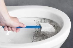 Westfalia Puimsteen Met Houten Handvat